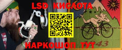 шишки Будённовск