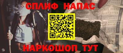 шишки Будённовск