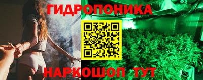 шишки Будённовск